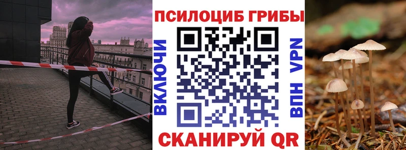Псилоцибиновые грибы Psilocybe  Наволоки 